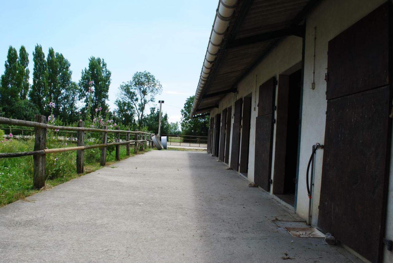Appartamento Ecurie de la Grange l'Abbé Le Langon Esterno foto