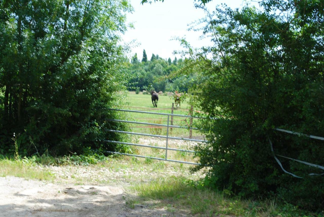 Appartamento Ecurie de la Grange l'Abbé Le Langon Esterno foto